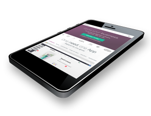 Odoo metin ve resim engeli